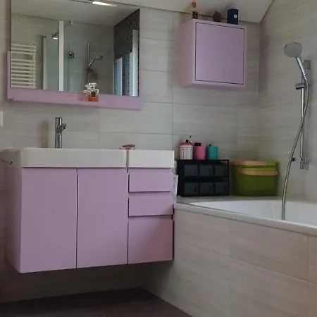 Loft Belle Vue Du Leman Appartement Montreux