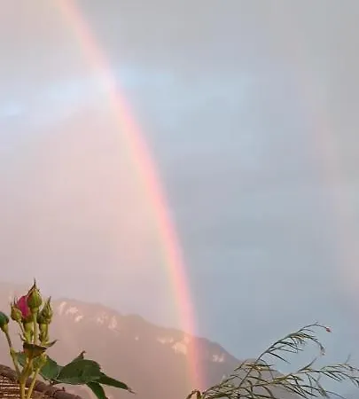 Loft Belle Vue Du Leman * Montreux