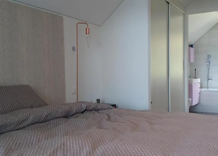 Loft Belle Vue Du Leman