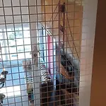 Loft Belle Vue Du Leman * Μοντρέ