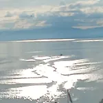 Διαμέρισμα Loft Belle Vue Du Leman Μοντρέ
