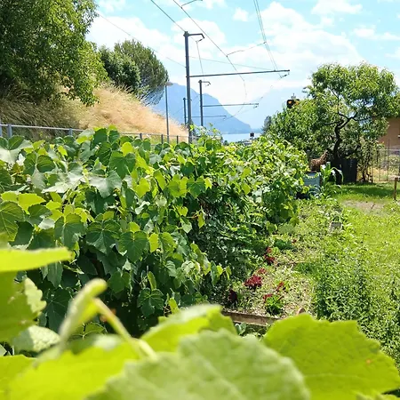 Loft Belle Vue Du Leman Апартаменты