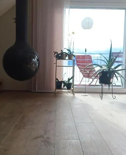 Loft Belle Vue Du Leman Апартаменты *