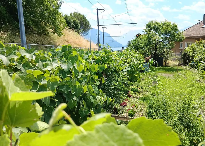 Loft Belle Vue Du Leman Апартаменты